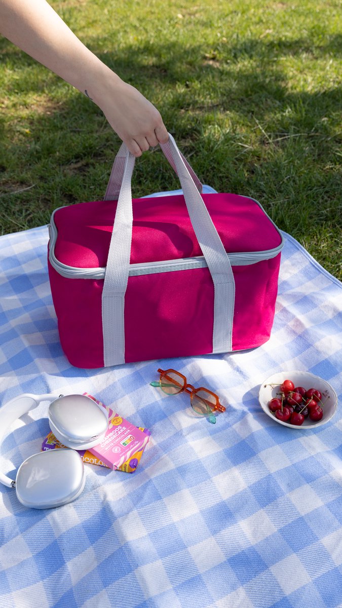 Geïsoleerde Koeltas| Lunchtas| Thermotas| 20 Liter| Picknicktas| Koeltas voor op reis met draagband| Paars