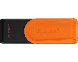 Kingston Technology DataTraveler - 256 GB