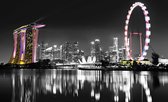 Singapore Skyline Photo Wallcovering