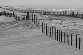 Fotobehang Strand Zeeduinen - Vliesbehang - 368 x 254 cm