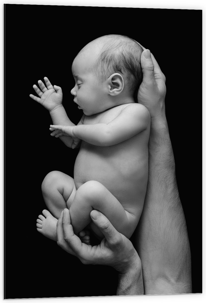 Dibond - Pasgeboren Baby in Handen van Vader (Zwart- wit) - 60x90 cm Foto op Aluminium (Wanddecoratie van metaal)