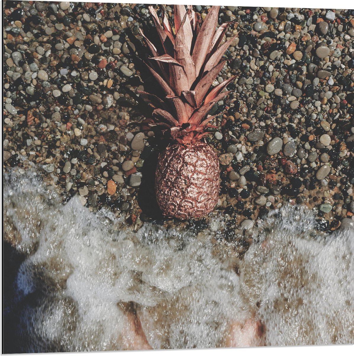 Dibond - Ananas op Kiezelstrand - 80x80 cm Foto op Aluminium (Met Ophangsysteem)