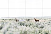 IXXI Wild Horses - Wanddecoratie - Fotografie - 120 x 80 cm