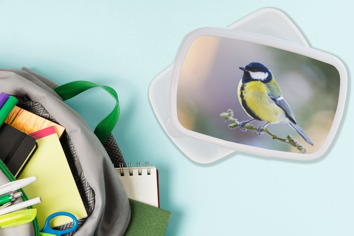 Broodtrommel Wit - Lunchbox - Brooddoos - Koolmees - Vogel - Tak - 18x12x6 cm - Volwassenen