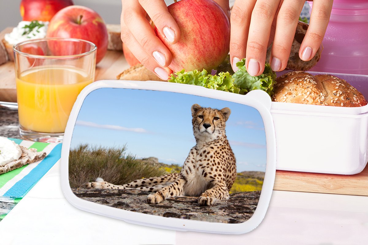 Broodtrommel Wit - Lunchbox - Brooddoos - Luipaard - Dieren - Natuur - 18x12x6 cm - Volwassenen