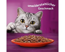 Whiskas natvoer Classic Selectie verschilende smaken 84x85g maaltijdzakjes sause