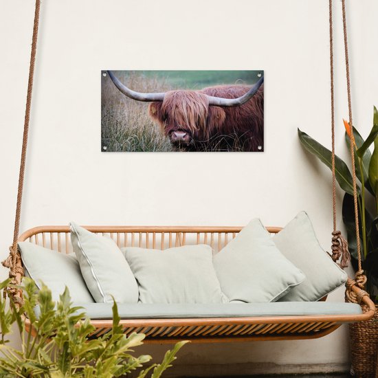Tuinposter 80x40 cm - Tuindecoratie Schotse Hooglander - Hoorns - Gras - Poster voor in de tuin - Buiten decoratie - Schutting tuinschilderij - Tuindoek muurdecoratie - Wanddecoratie balkondoek