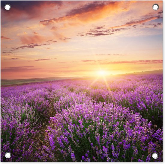 Tuinposter - Bloemen - Lavendel - Zon - Wanddecoratie - 50x50 cm - Tuindoek - Muurdecoratie