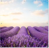 Tableau jardin - Jardin - Lavande - Ciel - Nuages - 100x100 cm - Tableau jardin - Toile jardin - Affiche extérieure