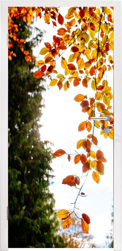 Sticker de porte avec des feuilles d'automne tombantes jaunes et oranges sur un arbre vert et un ciel blanc.