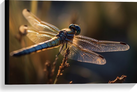 Foto: Canvas blauwe libel staat op bloem met gedetaileerde doorzichtige vleugels 60x40 cm foto op canvas schilderij wanddecoratie op canvas 