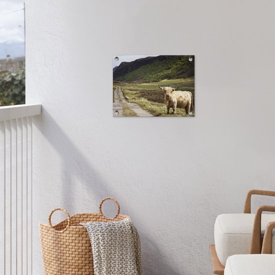 Décoration de Jardin Highlander écossais - Chemin - Forêt - 40x30 cm - Toile de jardin - Poster extérieur