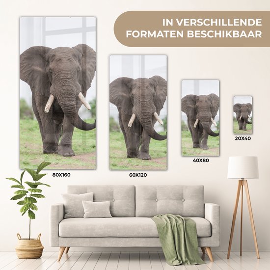 MuchoWow® Peinture sur verre 20x40 cm - Peinture sur verre acrylique - Éléphant - Animaux - Herbe - Nature - Photo sur verre - Peintures
