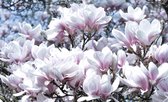 Fotobehang - Vlies Behang - Bloemen in Boom - 254 x 184 cm