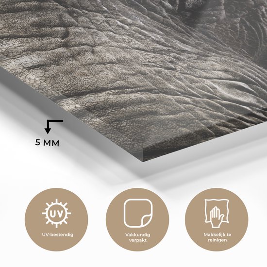 MuchoWow® Peinture sur verre 120x90 cm - Peinture sur verre acrylique - Éléphant - Animaux - Gros plan - Zwart - Photo sur verre - Peintures