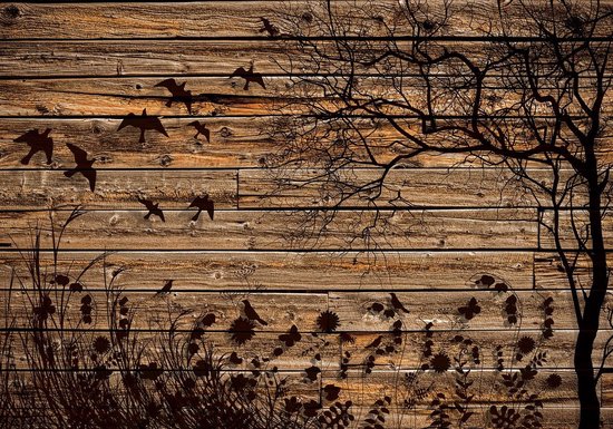Fotobehang - Vlies Behang - Schaduw van Natuur en Vogels op Houten Planken - 254 x 184 cm