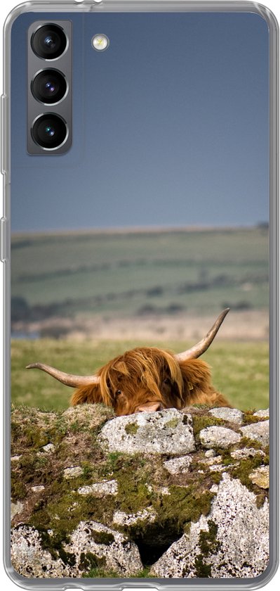 Telefoonhoesje Geschikt voor Samsung Galaxy S21 Plus hoesje - Schotse Hooglander - Stenen - Gras - Siliconen Telefoonhoesje