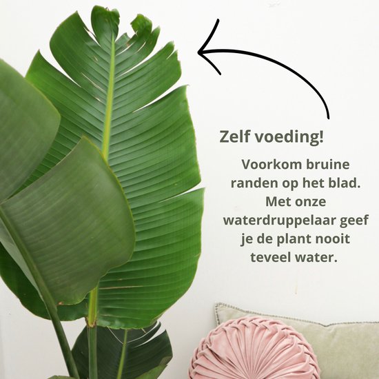 Decopatent® 4 Stuks - Waterdruppelaar voor Planten - Watergever - Glas - Waterbollen - Watergeefsysteem - Plantenbollen - Blauw - Decopatent