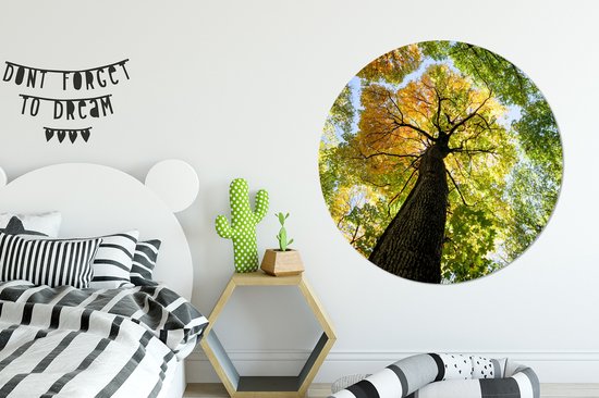 WallCircle - Muurstickers - Behangcirkel - Boom - Natuur - Bos - 120x120 cm - Muurcirkel - Zelfklevend - Ronde Behangsticker XXL