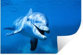 Sticker Muursticker Dolphin - Grand dauphin sous l'eau - 60x40 cm - feuille autocollante - sticker mural repositionnable