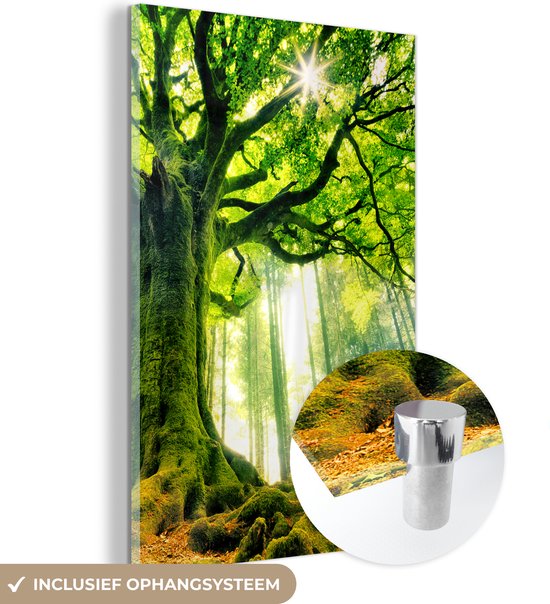 Glasschilderij - Boom - Mos - Natuur - Groen - Muurdecoratie - 80x120 cm - Foto op glas - Schilderij glas