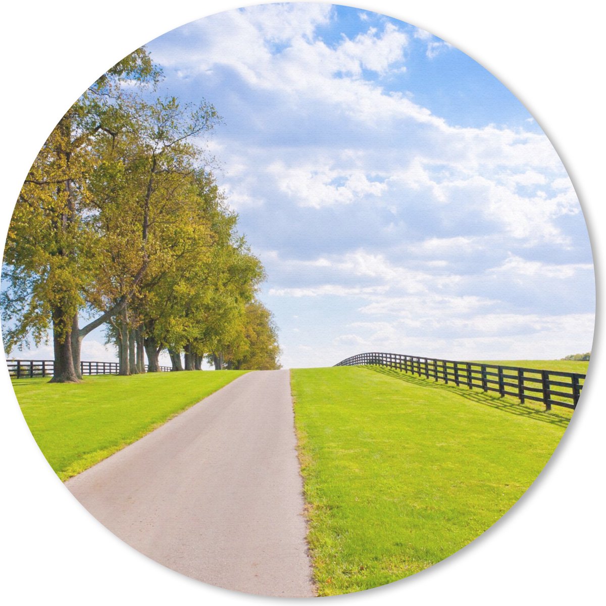 Muismat rond 50x50 cm - Mousepad Wolken - Bomen - Weg - Ronde muismatten