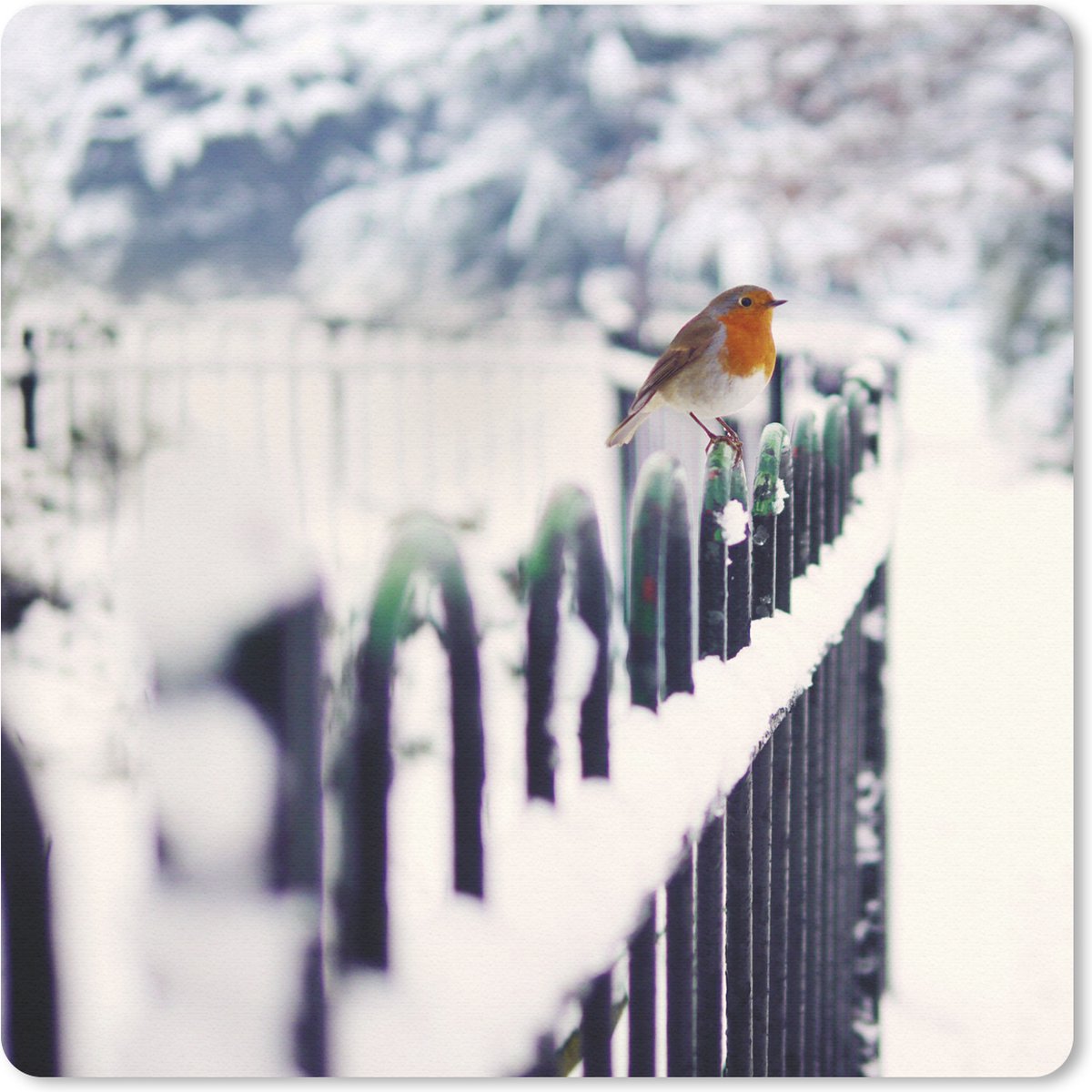 Muismat 20x20 cm - Mousepad Roodborstje - Winter - Sneeuw - Muismatten