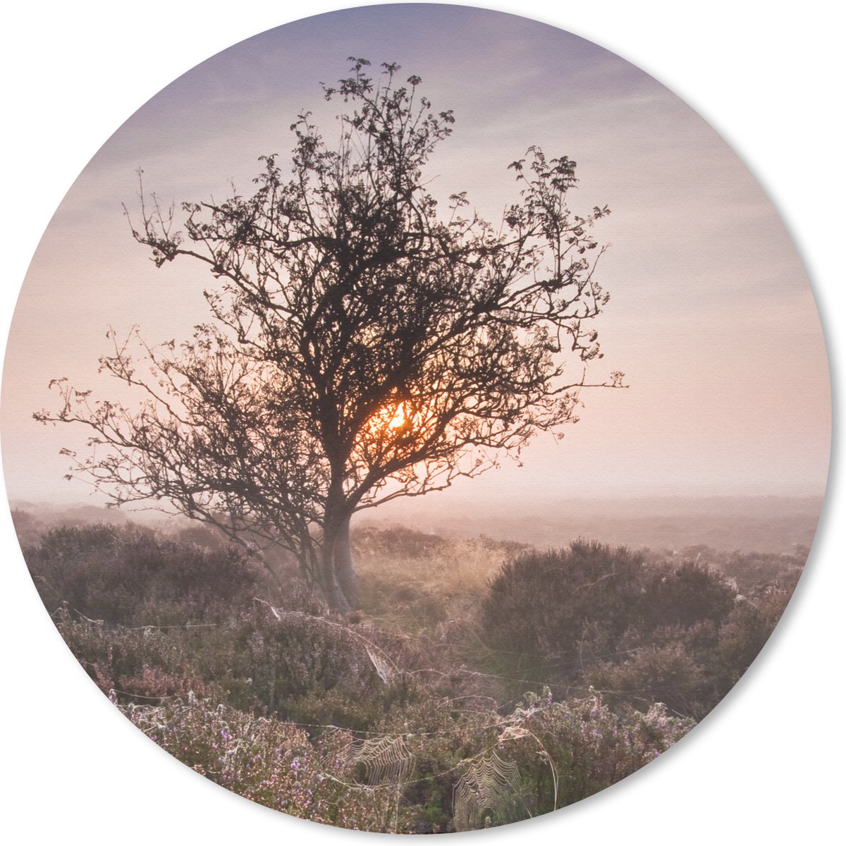 Muismat rond 50x50 cm - Mousepad De heide bij zonsopgang - Ronde muismatten