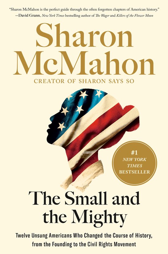 Boekomslag van 'The Small and the Mighty' met een silhouet van een hoofd in de vorm van de Amerikaanse vlag. #1 New York Times Bestseller.