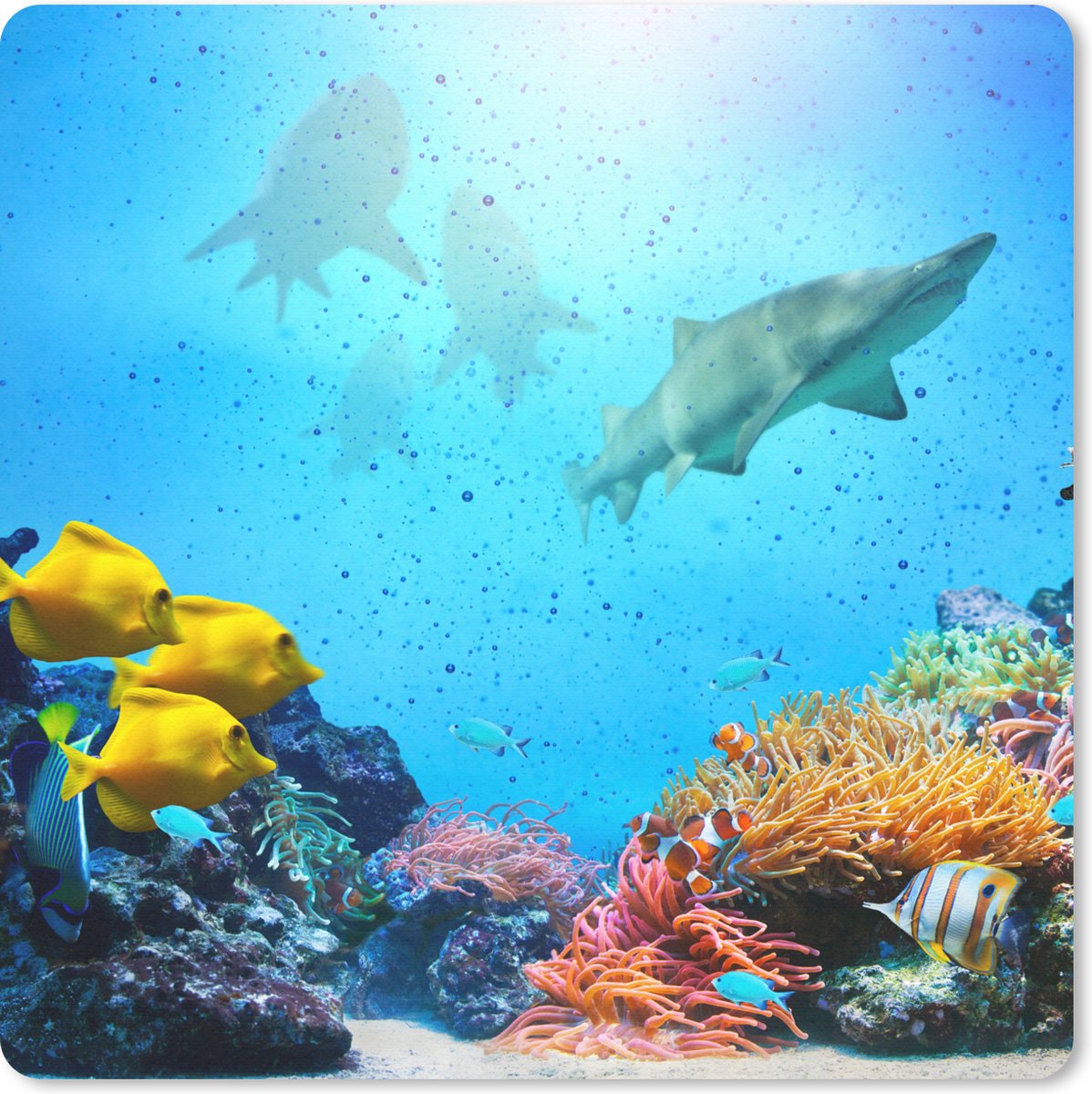 Muismat 30x30 cm - Mousepad Zee - Vissen - Kleuren - Muismatten