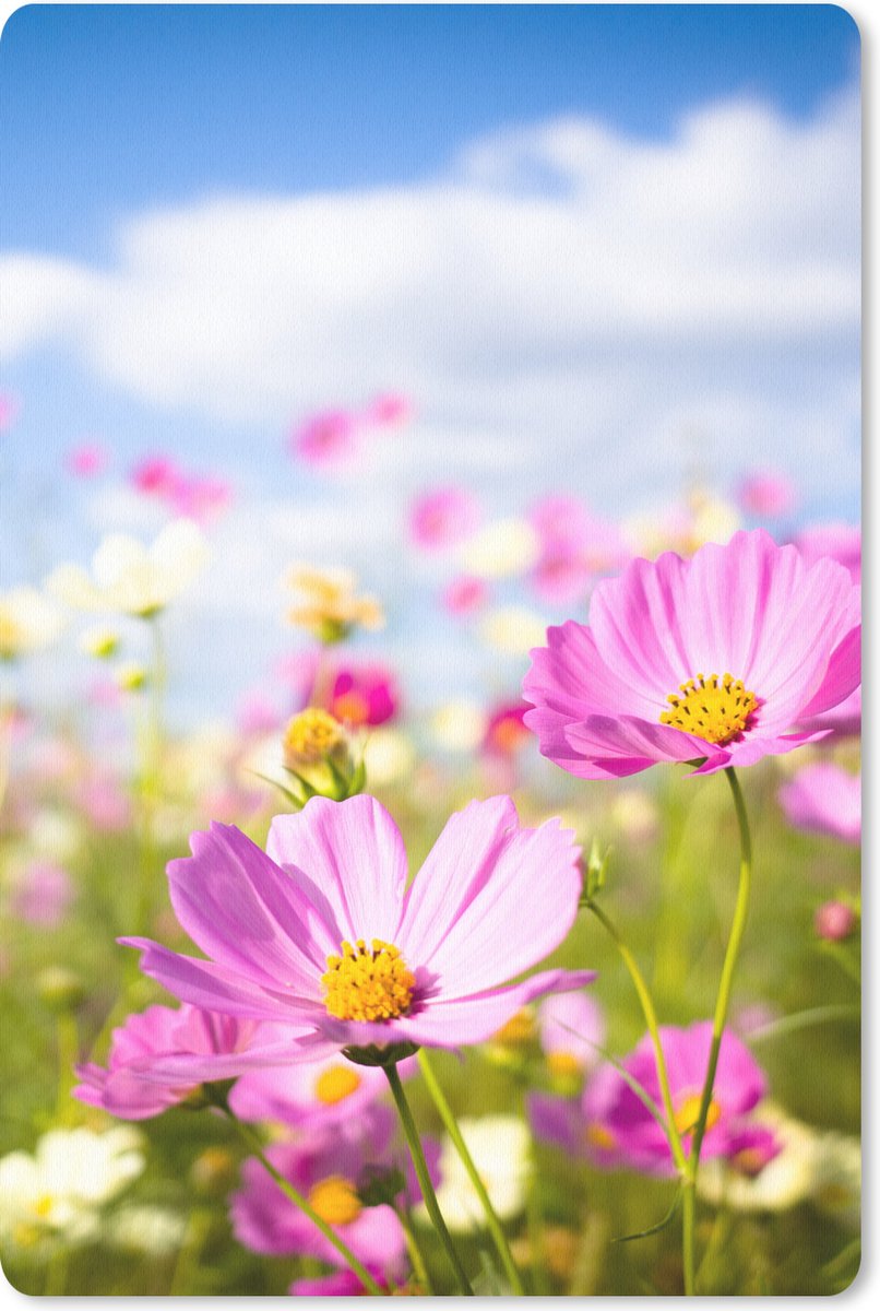 Muismat 18x27 cm - Mousepad Bloemen - Wei - Paars - Gras - Wit - Wolken - Blauw - Muismatten