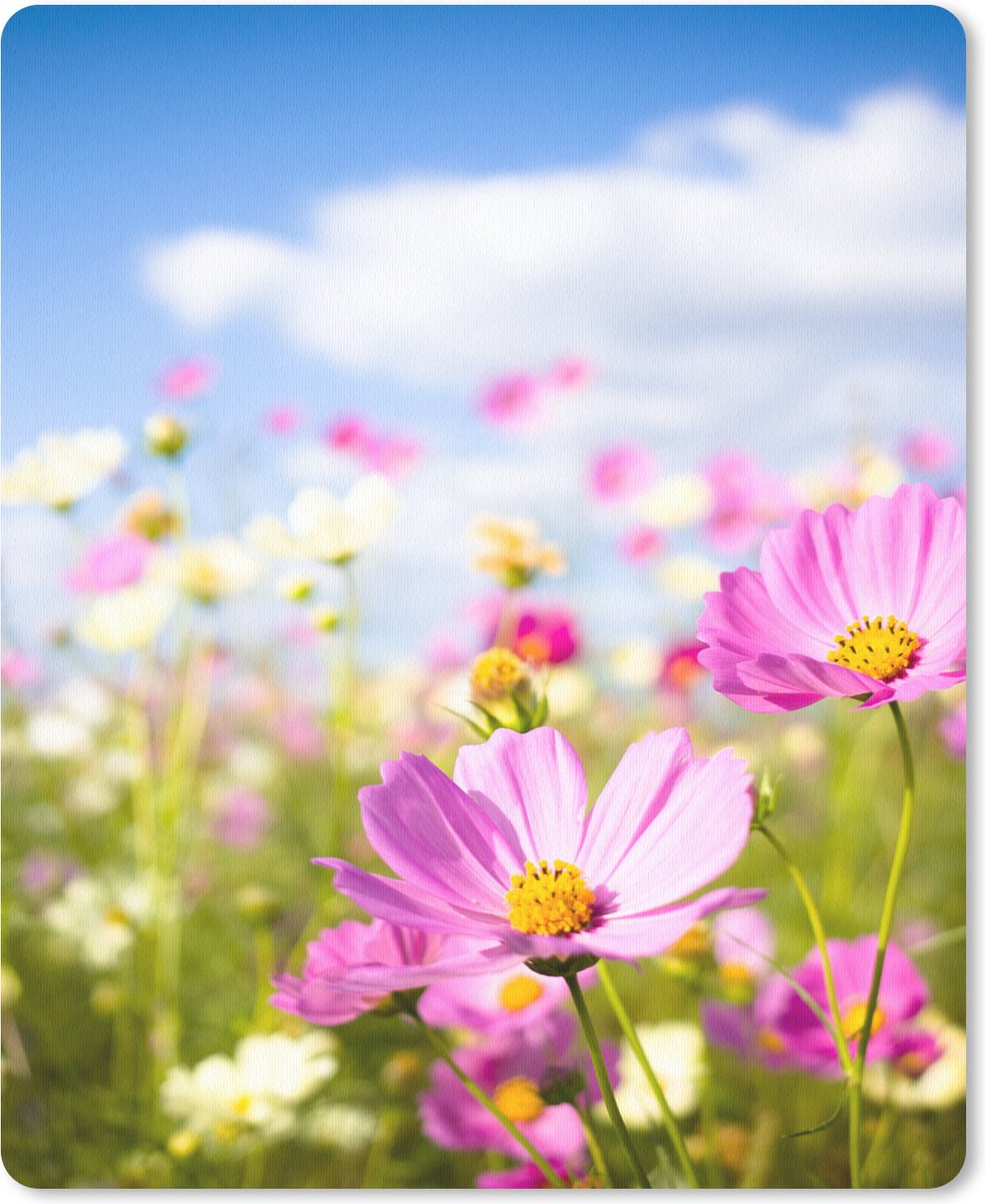 Muismat 19x23 cm - Mousepad Bloemen - Wei - Paars - Gras - Wit - Wolken - Blauw - Muismatten