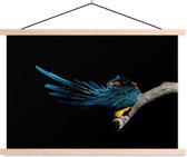 Porte-affiche avec affiche 90x60 cm - Affiche scolaire - Vogel - Ressorts - Branche - Zwart - Affiche textile - Lattes vierges