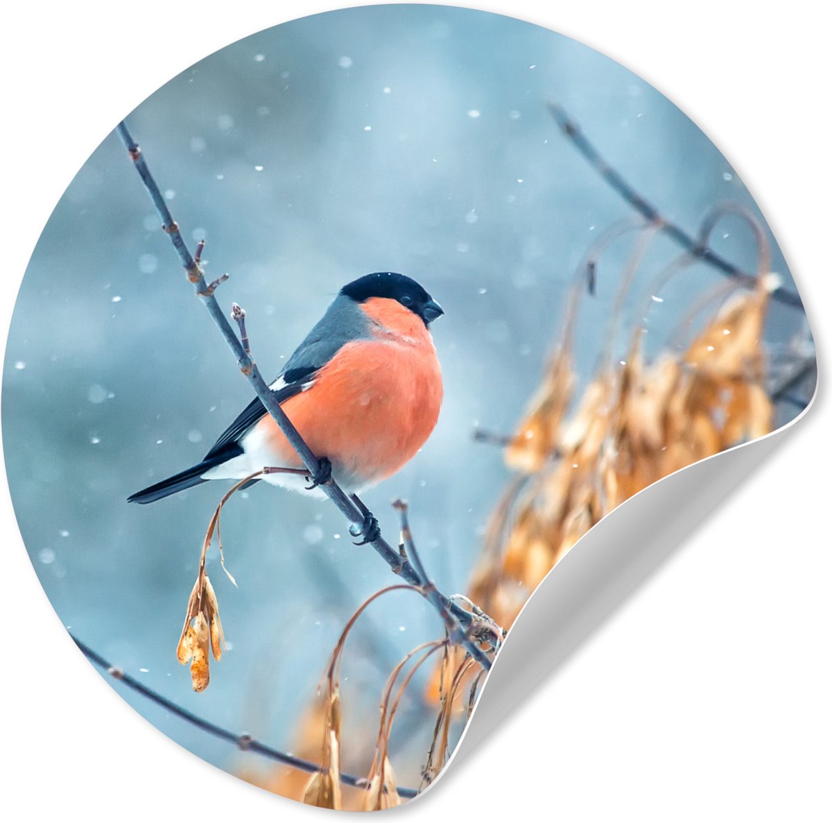 WallCircle® - Behangcirkel 80x80 cm - Muurstickers Sneeuw - Inductie beschermer - Vogel -