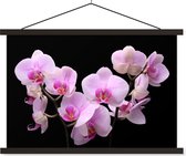 Posterhanger incl. Poster 60x40 cm - Schoolplaat - Orchidee - Bloemen - Roze - Flora - Textielposter - Zwarte latten