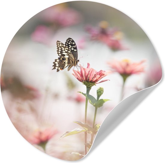 WallCircle® - Cercle de papier peint 80x80 cm - Stickers muraux Papillon - Bloem - Rose - Cercle mural salon - Cercle mural chambre - Décoration murale autocollante - Accessoires de Décoration murale
