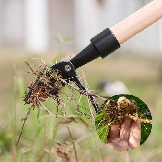 Efficiënt riet verwijderen met de juiste gereedschappen