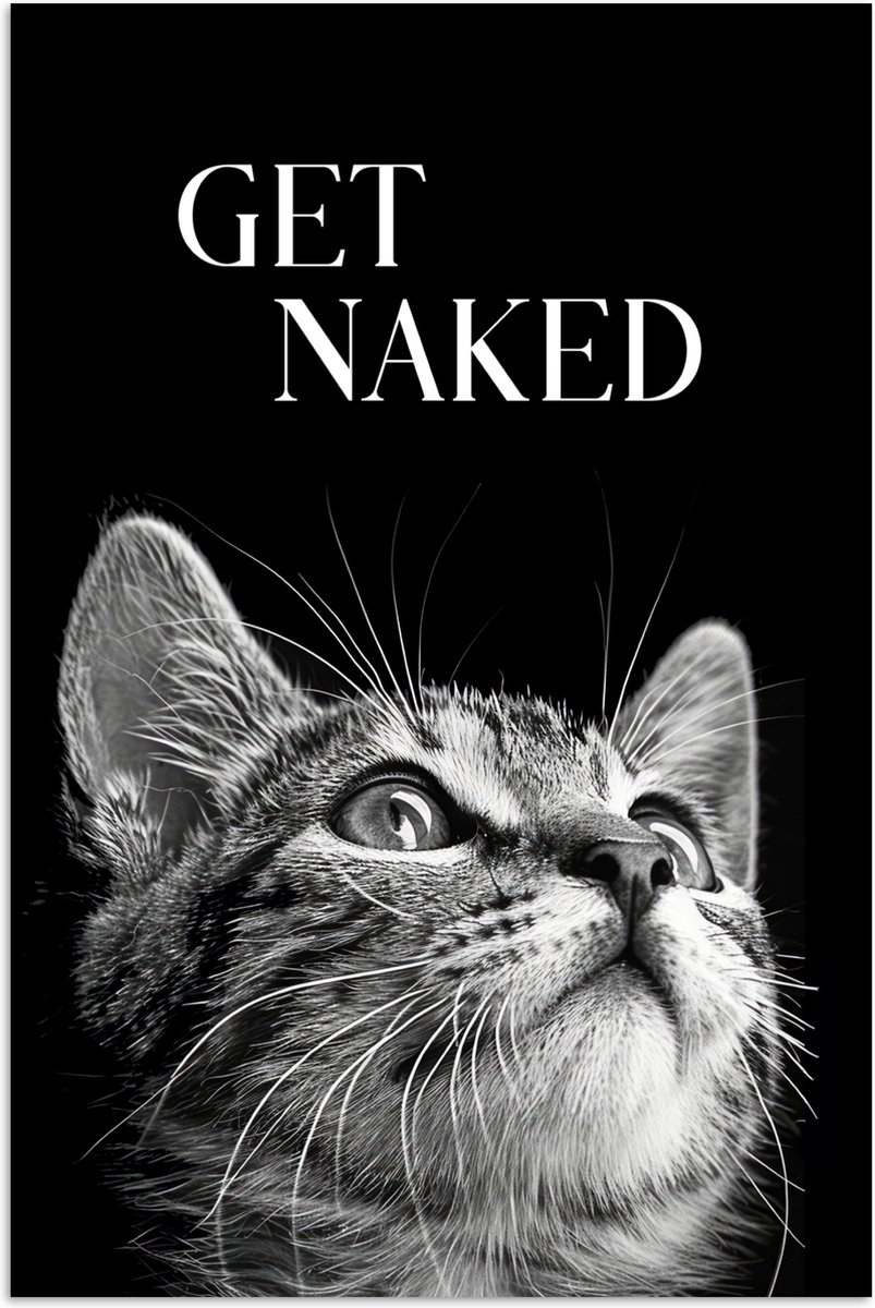 Poster 60x90 cm - Kat - Dieren - quote - Get naked - Zwart - Posters - Wanddecoratie badka