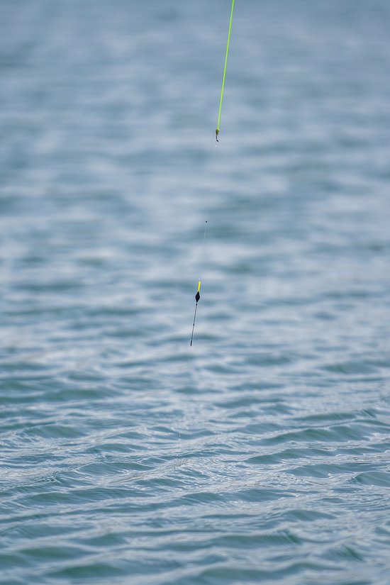 Matrix F1 Shallow Pole Float - Maat : 0.30g van Matrix — afbeelding 2
