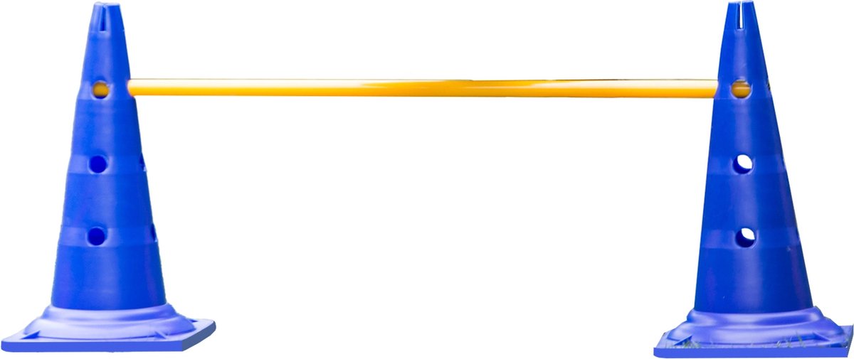 De-Tail Agility horde 2 pylonen met springstok 51 x100 cm.