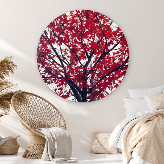 WallCircle - Wall Circle - Wall Circle Indoor - Esdoorn - Feuilles - Automne - Nature - 120x120 cm - Décoration murale - Peintures Ronds XXL