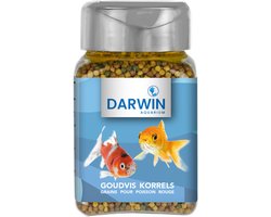 Darwin Goudvis Korrels - Vissenvoer - 100 ml
