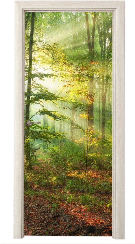 Sticker pour porte Soleil - Forêt - Arbres - Nature - Automne - 80x215 cm - Affiche de porte