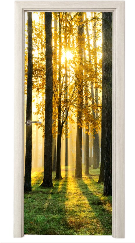 Sticker pour porte Forêt - Soleil - Arbres - Herbe - Paysage - Nature - 90x205 cm - Door Poster