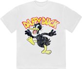 Looney Tunes - T-shirt Homme Daffy Duck - 2XL - Wit
