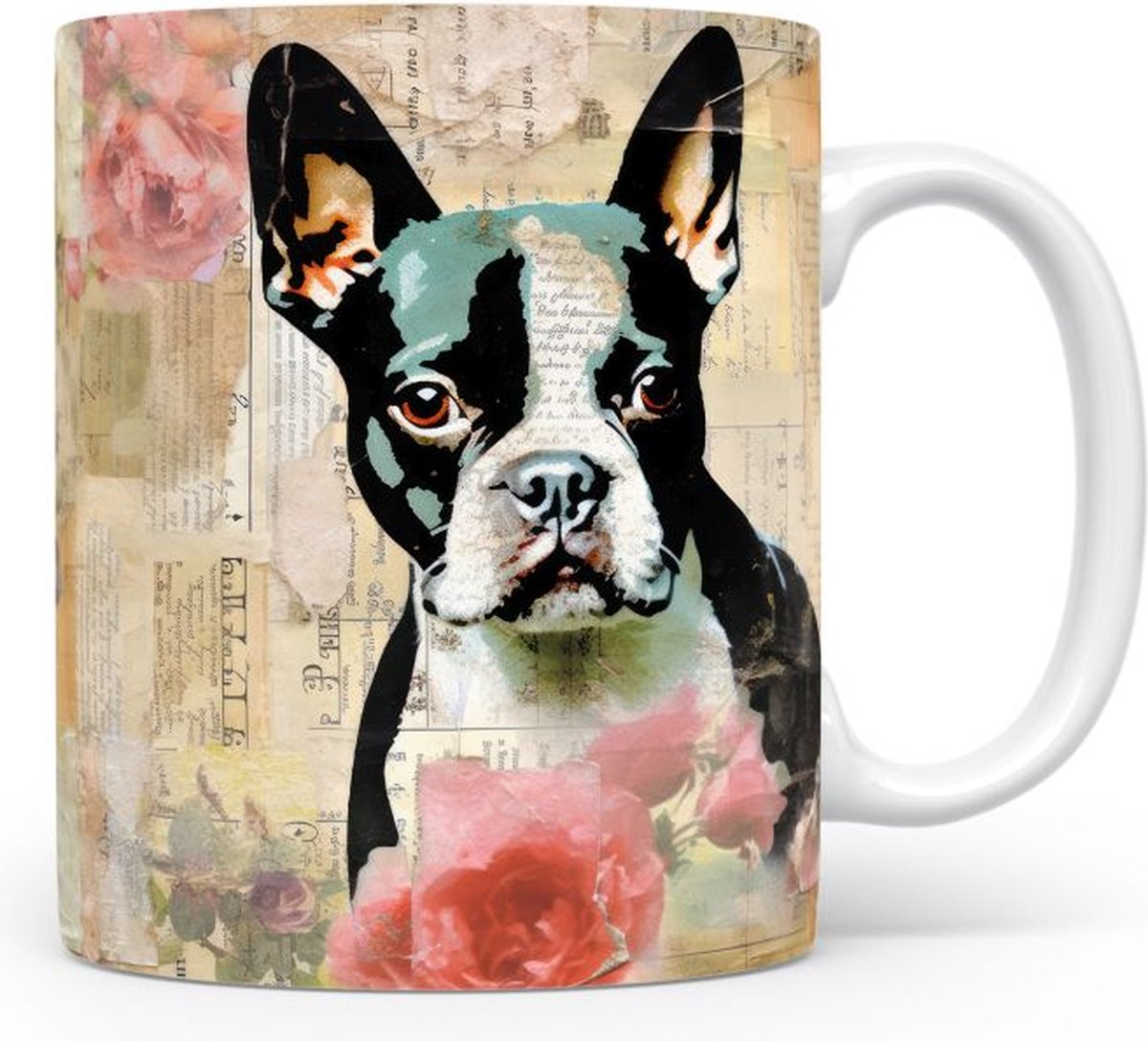 Mok met Boston Terrier