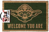 Star Wars -Tapis de porte Welcome You Are