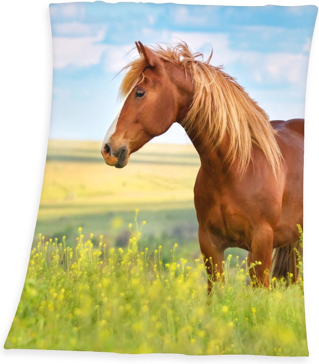 Fleece Knuffeldeken met Paardenmotief 130 x 160 cm – Comfortabele en Decoratieve Deken
