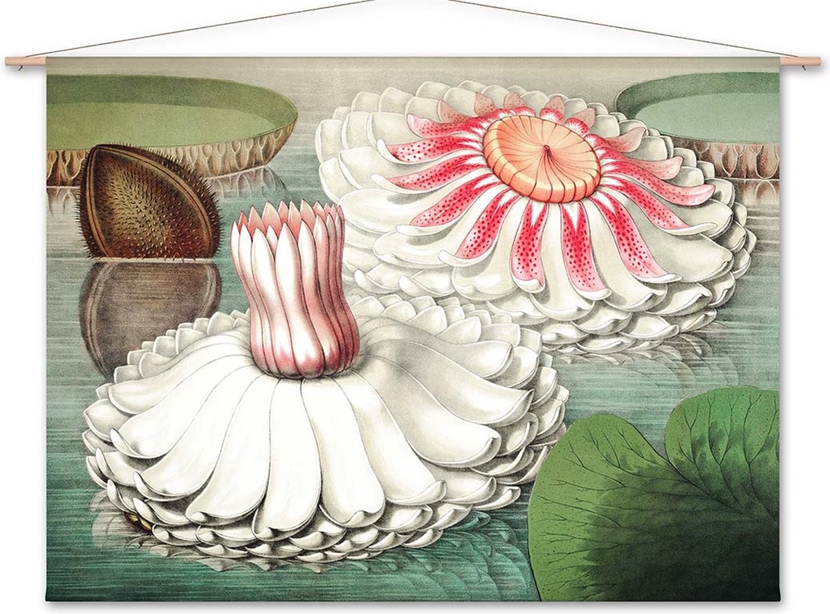 Wanddoek Waterlelie Victoria Regia (zonder houten stokken)