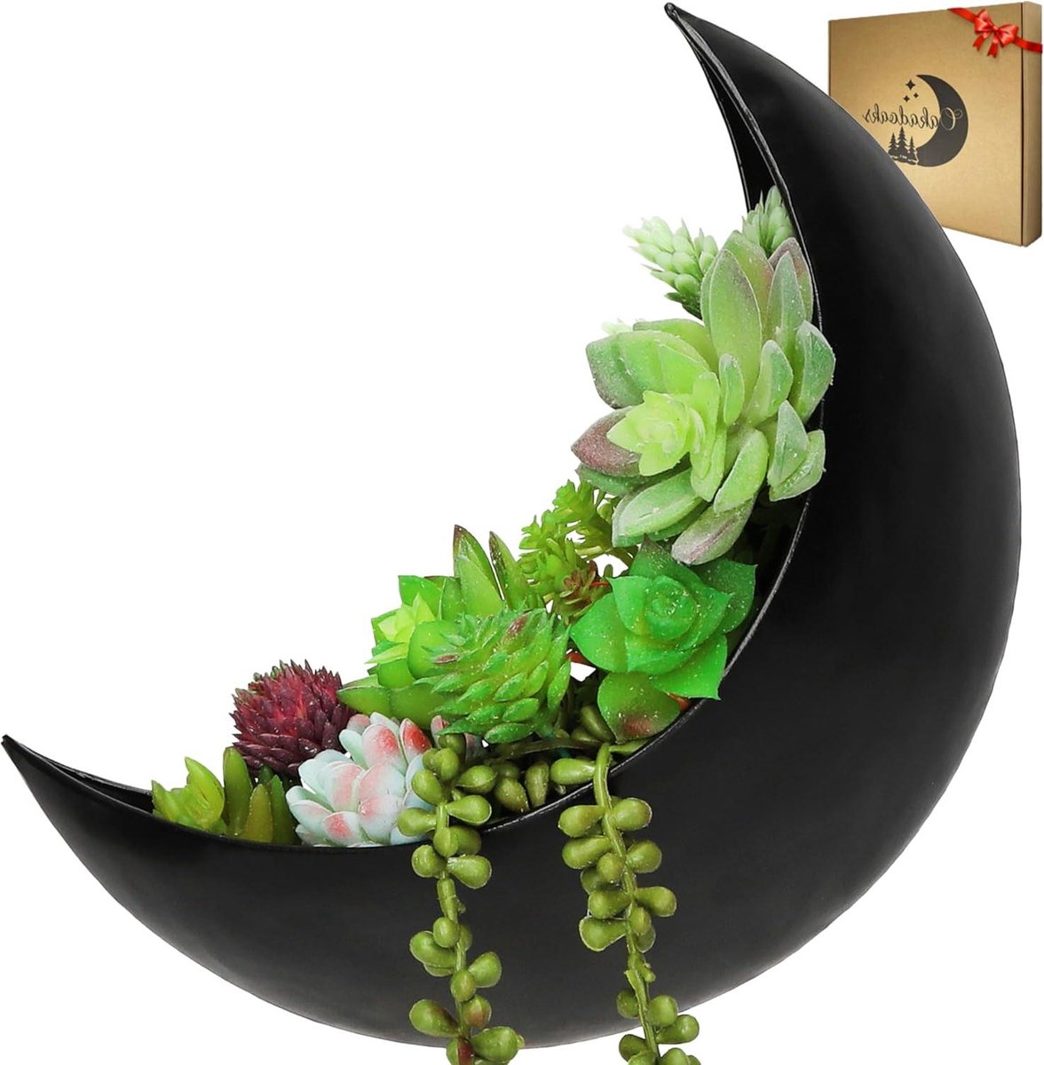 Plantenhanger Hangende Maanplanter Boho Plantenhanger voor Kamerplanten Vetplanten Luchtplanten Cactus Kunstplanten Heksen Geschenken Vrouwen Verjaardagen